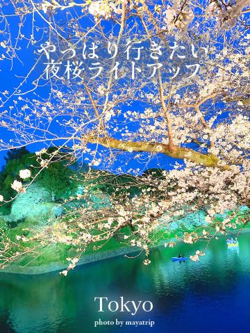 やっぱり行きたい夜桜ライトアップ【東京／千鳥ヶ淵】 | Trip.com 東京