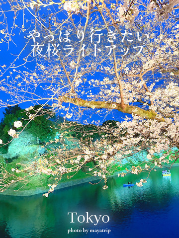やっぱり行きたい夜桜ライトアップ【東京／千鳥ヶ淵】 | Trip.com 東京