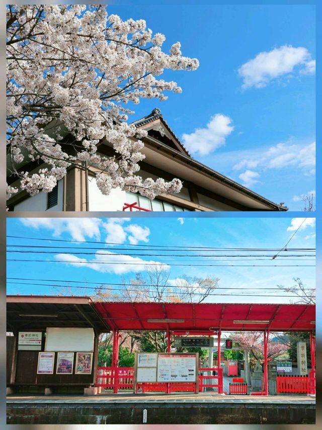 嵐山隱世賞樱秘境🌸車折神社⛩️