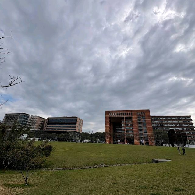 清華大學櫻花林