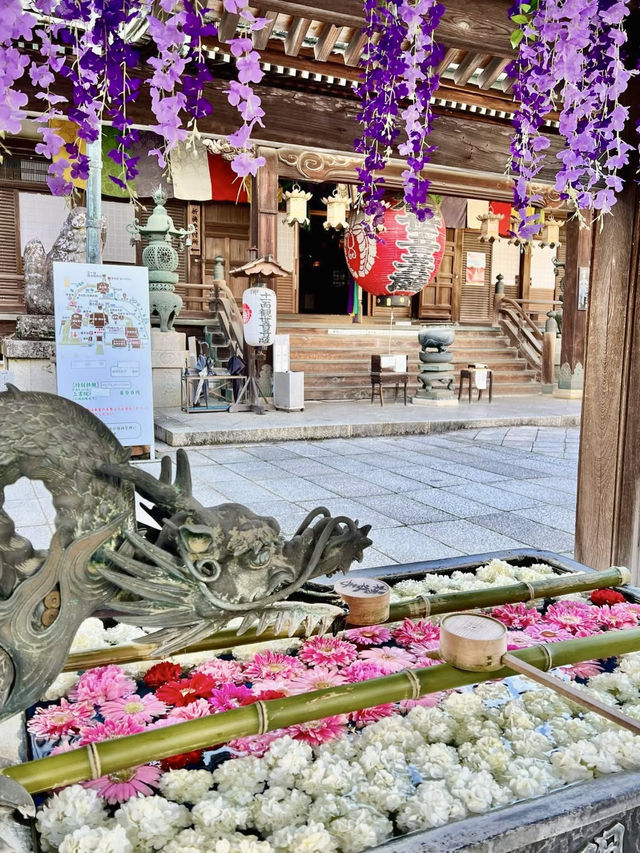 Spring Visit to Yanagidani Kannon Yōkoku-ji – A Hidden Floral Sanctuary in Kyoto