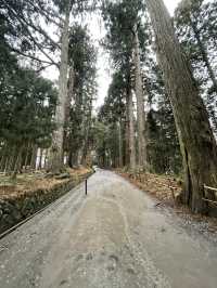 【岩手】中尊寺で有名な歴史の息づく街・平泉