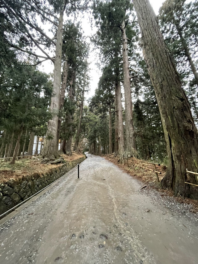 【岩手】中尊寺で有名な歴史の息づく街・平泉