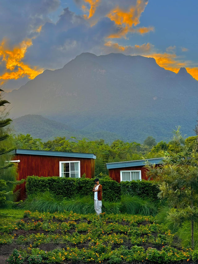 ไปนอนที่พักวิวดอยหลวงเชียวดาวด้วยกันมั้ย⛰️🌷🫶🏻