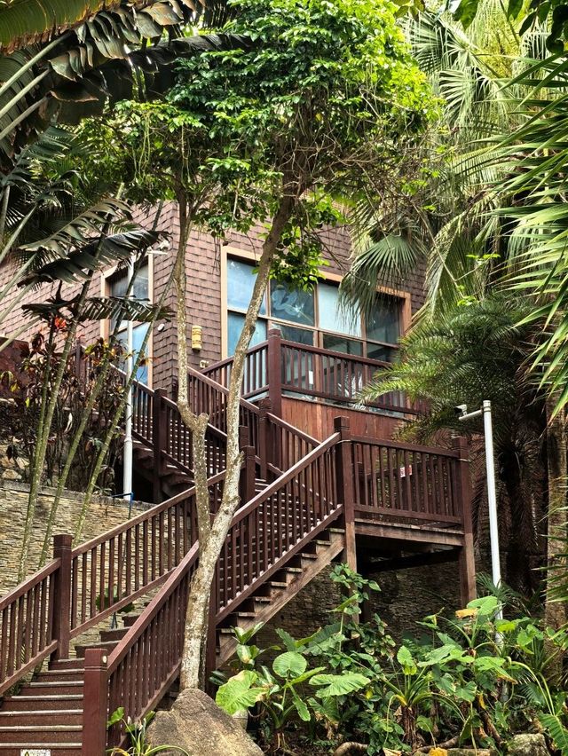 A Magical Stay at Wuzhizhou Island Resort
