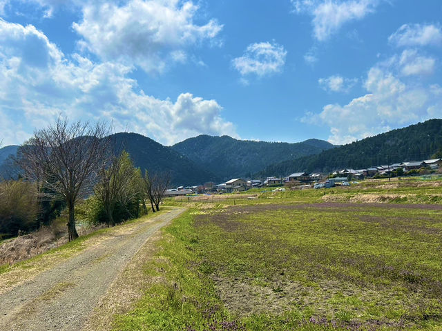 🌿京都・大原って、まるで自然の宝箱みたいな場所だった！🌸