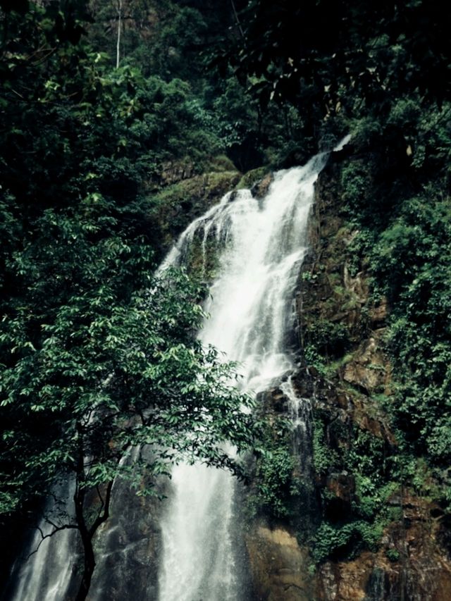 น้ำตกของพ่อ น้ำตก ร.๙