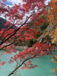 🏔️ Songping Valley Day Trip Guide 🚐✨