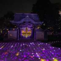 Kodaiji's Spring Illumination Night Show