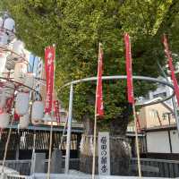 【福岡県博多🇯🇵櫛田神社】博多の総鎮守の櫛田神社へ参拝☺️