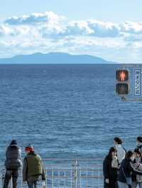 鐮倉江之島｜絕美海景🌊+日系小清新‼️