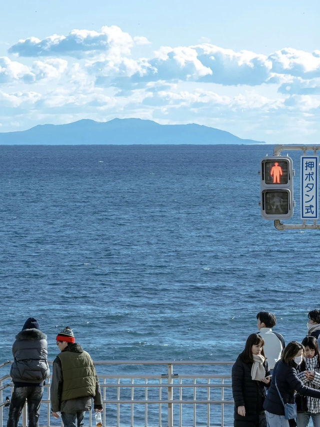 鐮倉江之島｜絕美海景🌊+日系小清新‼️
