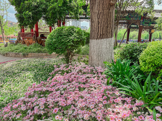 สวนสาธารณะ คุนหมิง cuihu park 🇨🇳