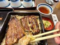 1 full day Solo trip in Narita Japan