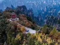 Autumn Magic in Zhangjiajie: A Peaceful Escape into Nature's Colors