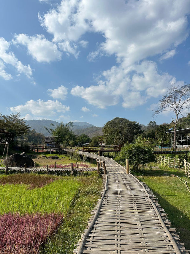 Walk Through the Heart of Pai