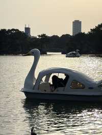 大濠公園（福岡）