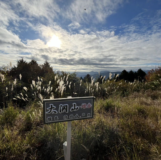 【大洞山〜尼ヶ岳】⛰️ 関西百名山