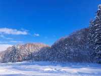 北海道旅遊🥳喜茂別路線雪場❄️自駕動力雪橇體驗分享😍欣賞羊蹄山沿途雪景🗻
