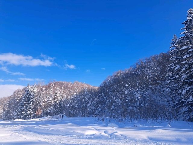 北海道旅遊🥳喜茂別路線雪場❄️自駕動力雪橇體驗分享😍欣賞羊蹄山沿途雪景🗻