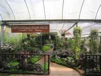 รวม 8 จุดเช็คอินสัมผัสธรรมชาติที่ดอยอินทนนท์🌳