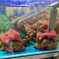 สารพัด หอย 🐚 ในนครโฮจิมินห์ 🇻🇳