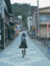 海之京都｜京都府北部「天橋立」怎樣玩？