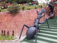 Ant-ventures in Borneo: When I Became a Giant in an Insect Metropolis!"🐜🌴
