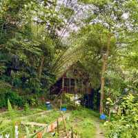 Rainforest Treehouse Cafe is a hidden gem in JB