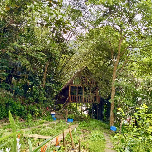 Rainforest Treehouse Cafe is a hidden gem in JB