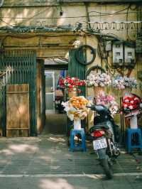 Lotus flowers in HaNoi