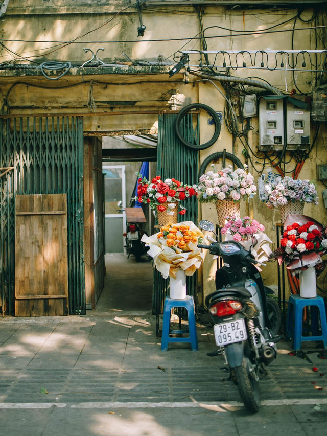 Lotus flowers in HaNoi