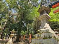 奈良~親親大自然，探訪可愛小鹿和歷史文化遺產的地方。
