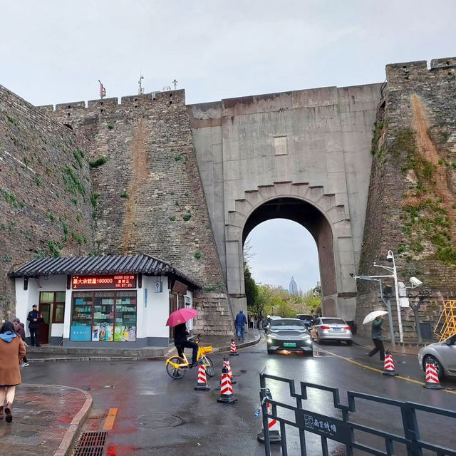 “Blossoms on the Battlements: Nanjing City Wall’s Springtime Legacy” 