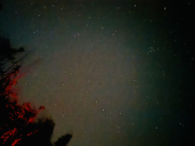 阿里山自助2天1夜超順行程分享！🌄🚂