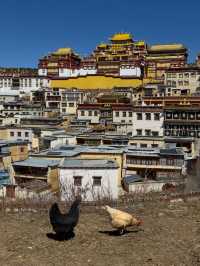 Songzanlin Monastery (松赞林寺): A Spiritual Journey into Shangri-La’s Heart