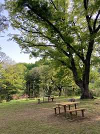 【都内で自然さんぽ】神代植物公園