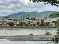 Uji เมืองแห่งชาเขียว 🍵
