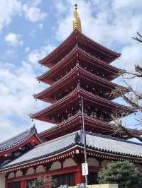 “Petals Over the River: The Dream of Sumida Park”
