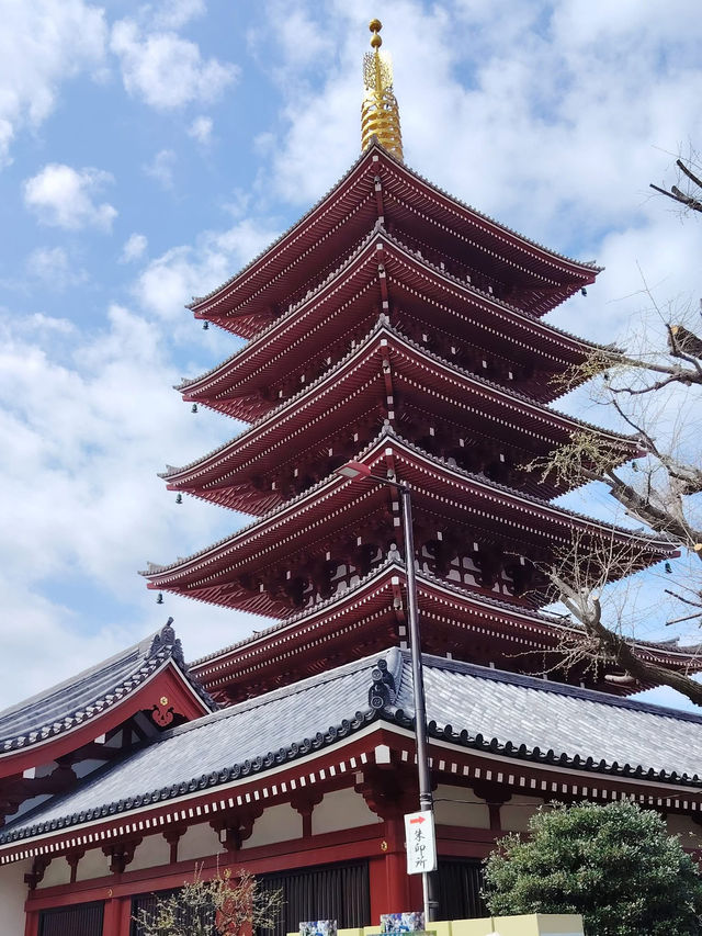 “Petals Over the River: The Dream of Sumida Park”