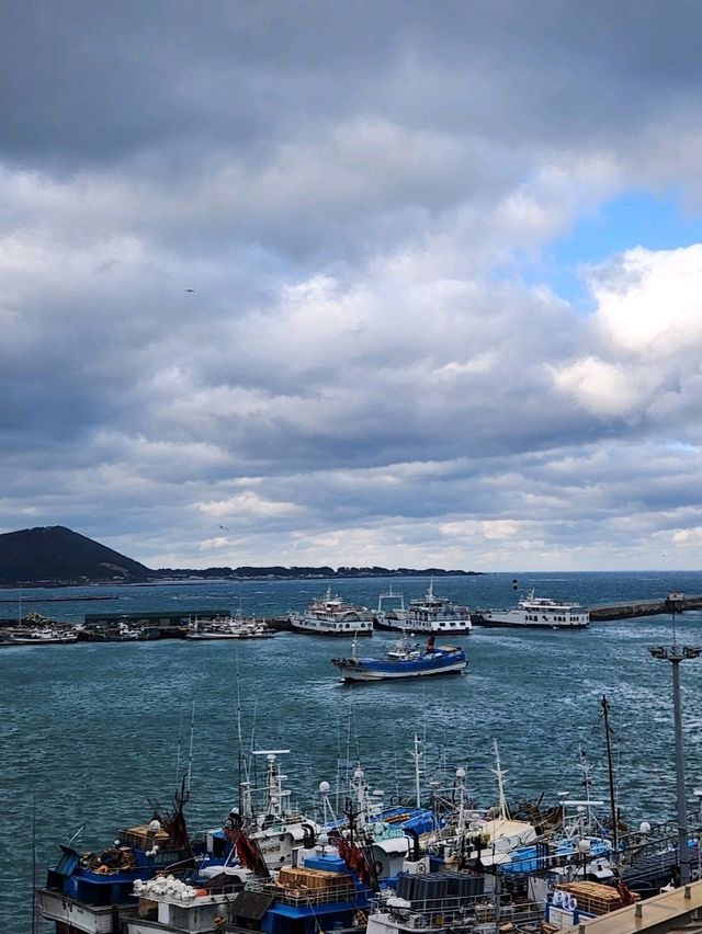 💛제주도 동쪽여행, 회포장 하기 좋았던 "성산포수협 활어회센터"💛