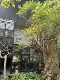 Bigbang Gallery And Cafe คาเฟ่ใหม่ใกล้เมืองอุบล