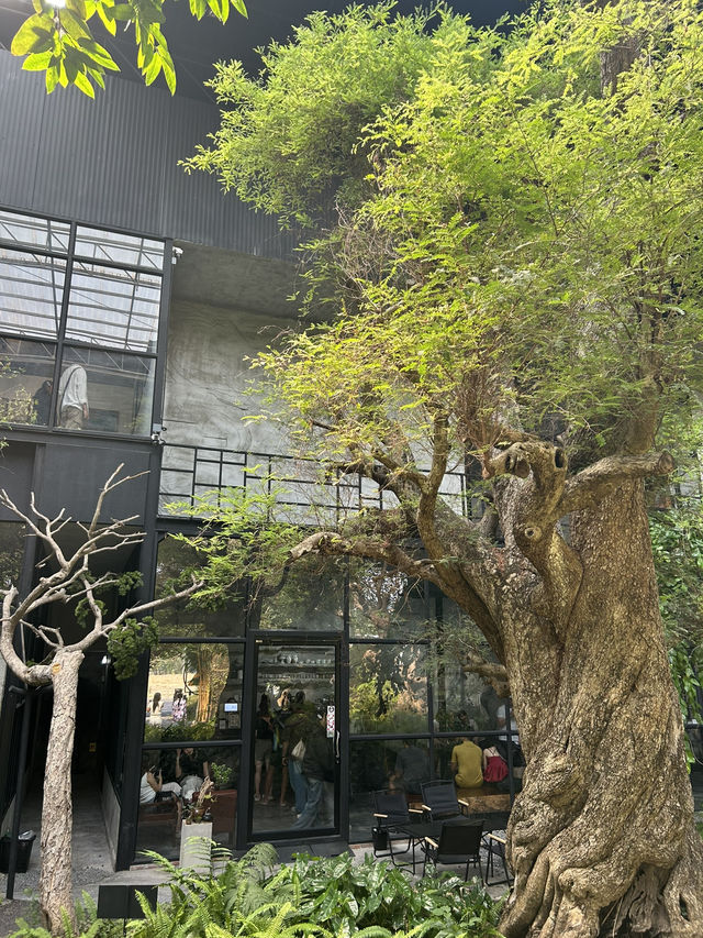 Bigbang Gallery And Cafe คาเฟ่ใหม่ใกล้เมืองอุบล