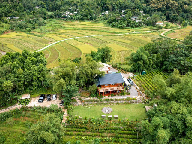 Tắm suối Hoà Bình
