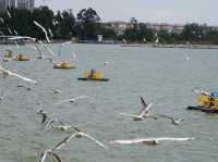 Haidong Wetland Park 