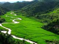 🌿 Luang Namtha Unplugged: Jungle Treks, Tribal Villages & the Best Sticky Rice in Laos! 🍚  