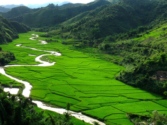 🌿 Luang Namtha Unplugged: Jungle Treks, Tribal Villages & the Best Sticky Rice in Laos! 🍚  