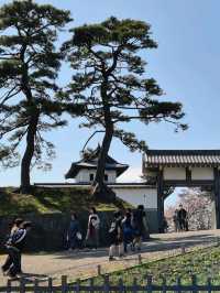 Matsumae Castle: A Springtime Gem in Hokkaido