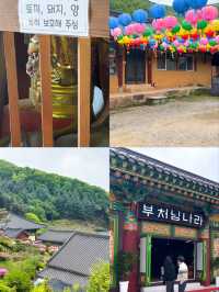 🪷부처님 오신날에 여긴 꼭 가야죠!🪷