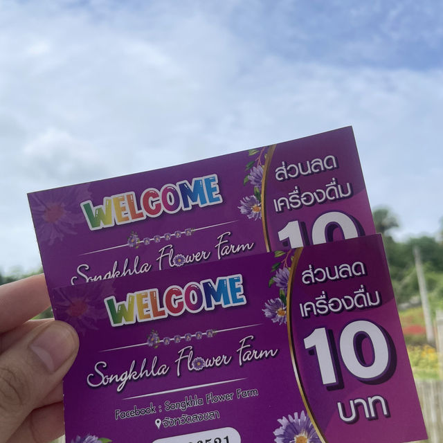 Songkhla Flower Farm สวนดอกไม้แห่งแรกในสงขลา